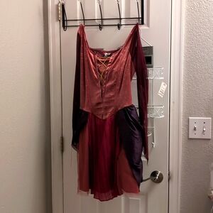 Sarah Sanderson Costume Dress